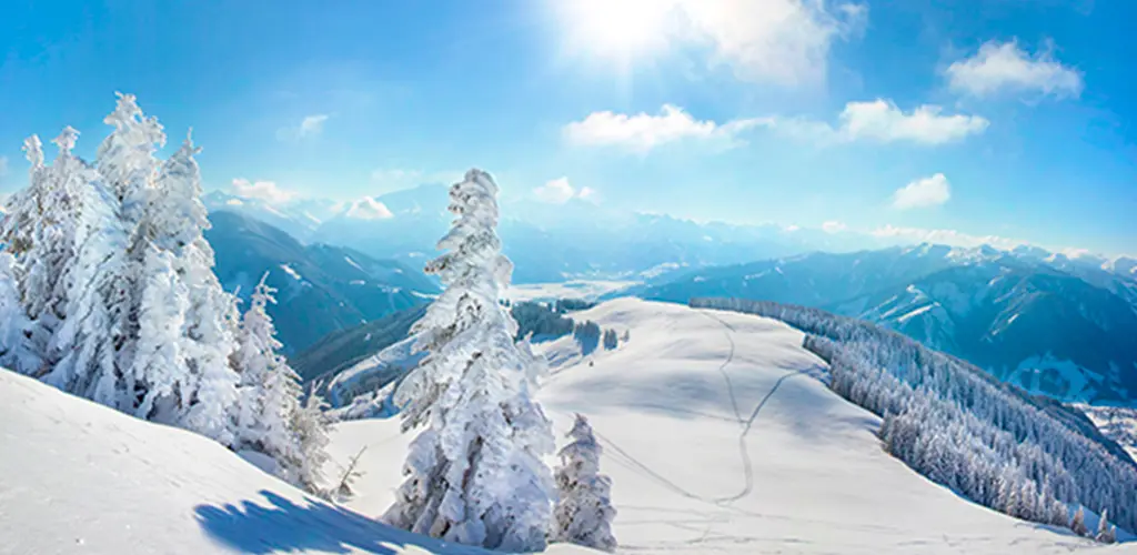 Header Banner