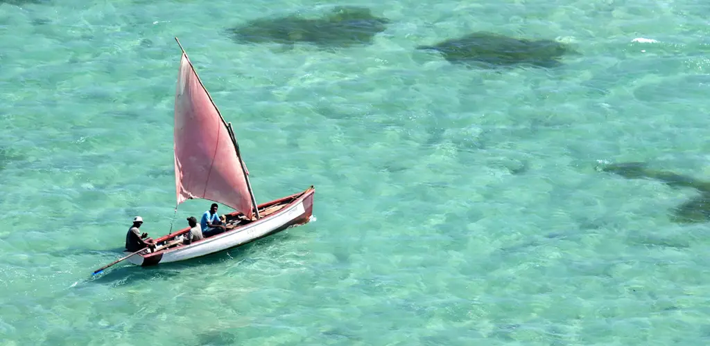 Header Banner