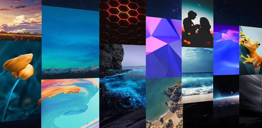 Header Banner