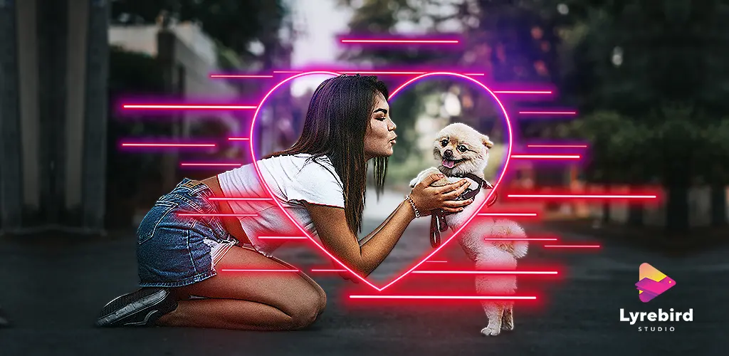 Header Banner