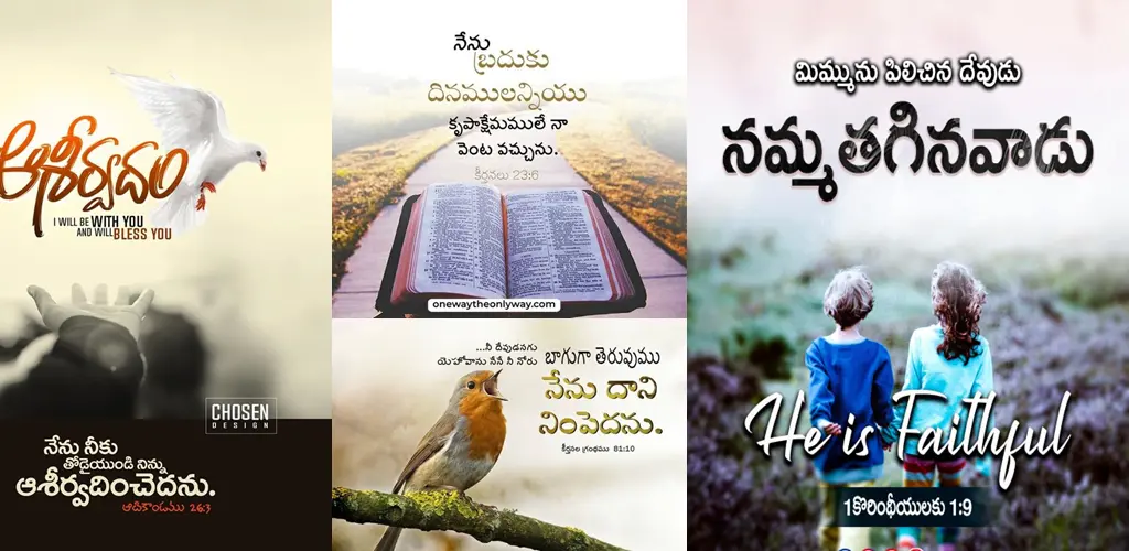 Header Banner
