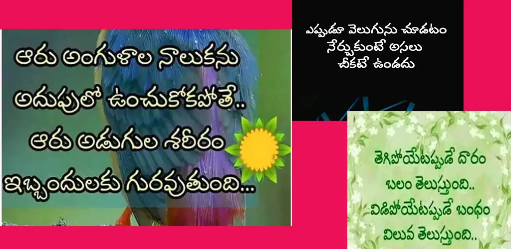 Header Banner