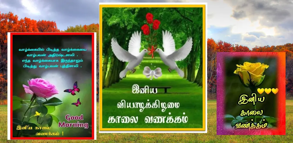 Header Banner