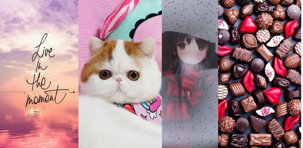 Header Banner