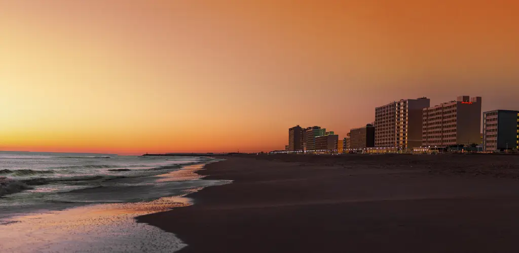 Header Banner