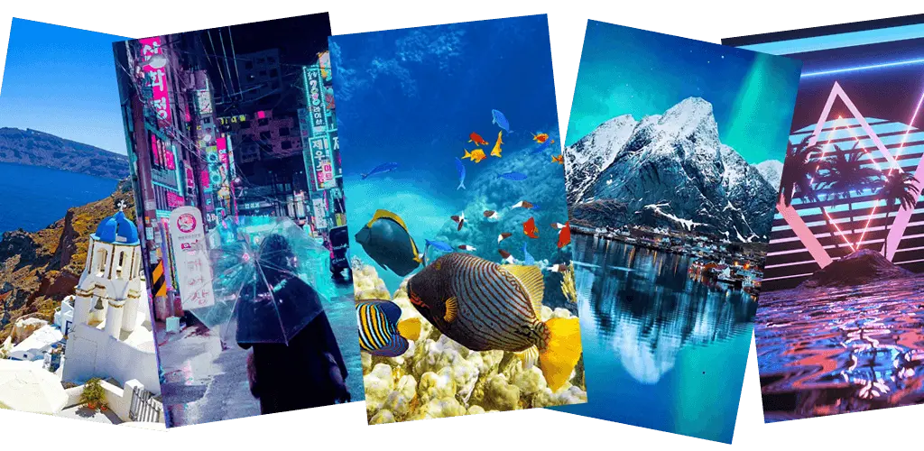 Header Banner