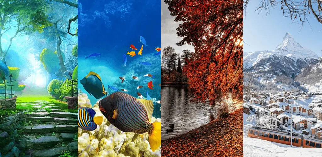 Header Banner