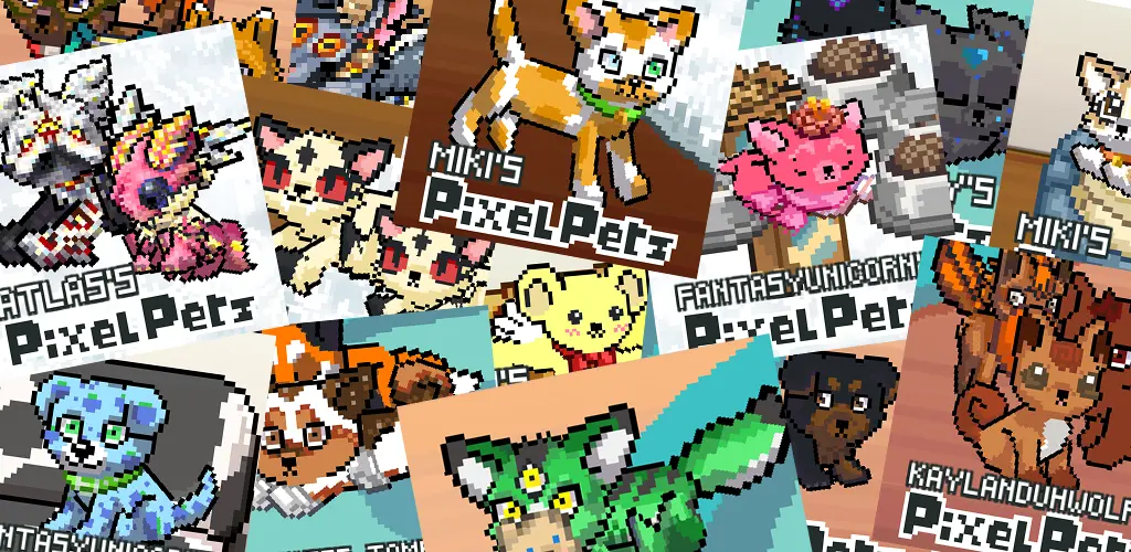 Header Banner
