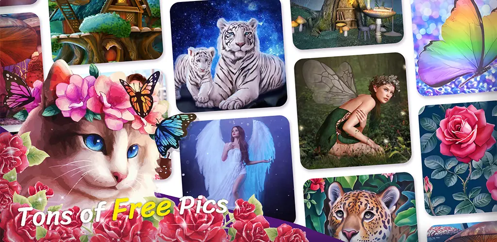 Header Banner