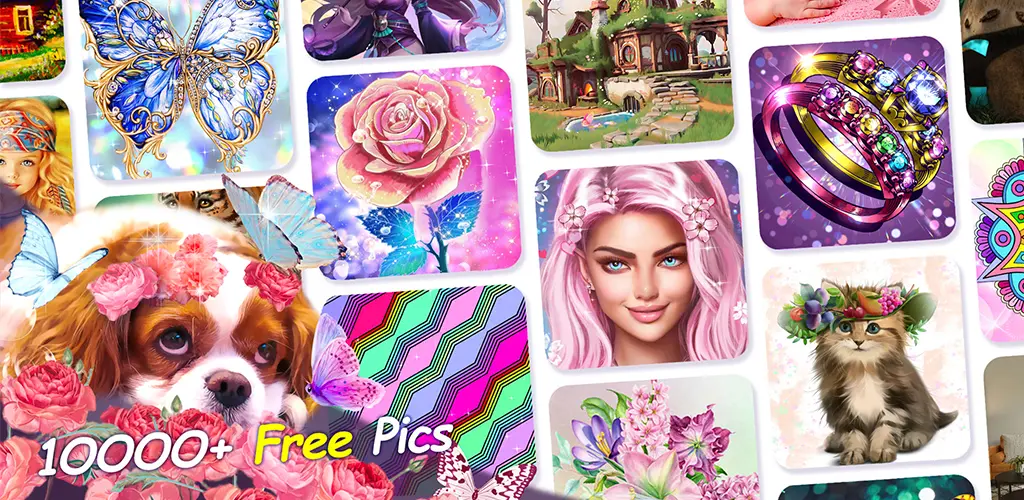 Header Banner
