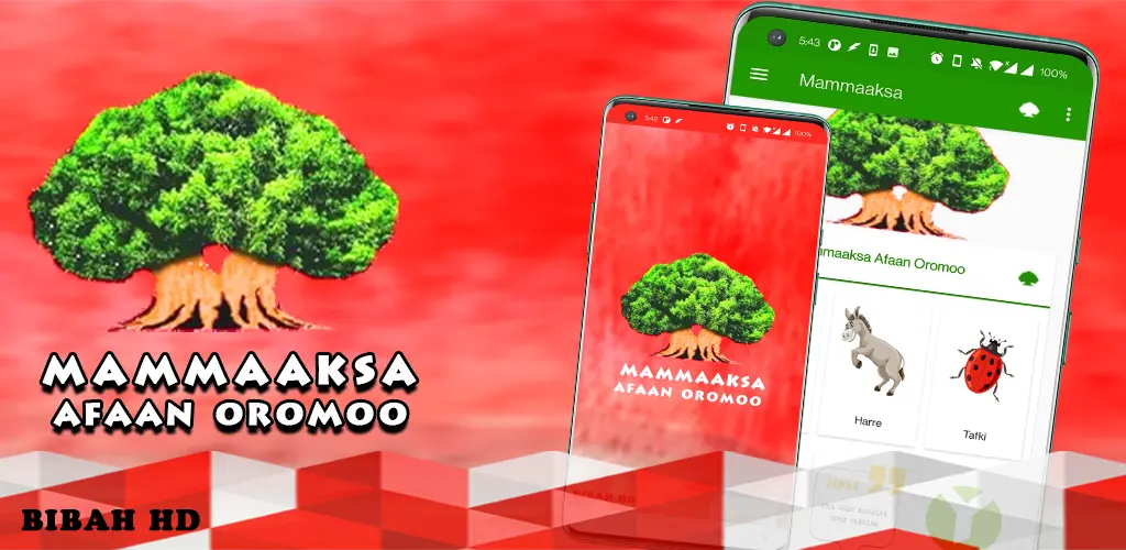 Header Banner