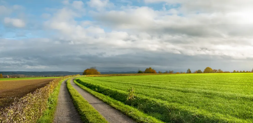 Header Banner