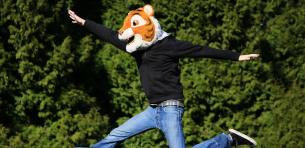 Header Banner