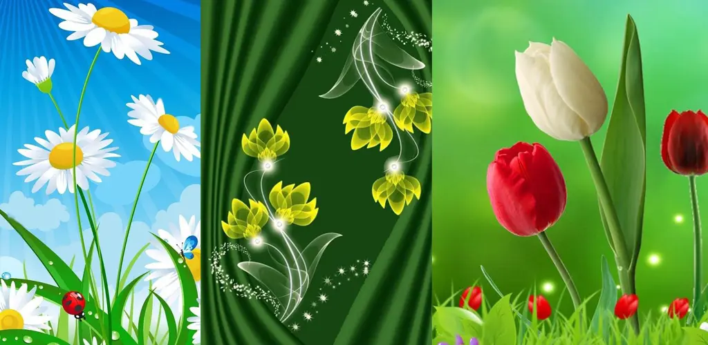 Header Banner