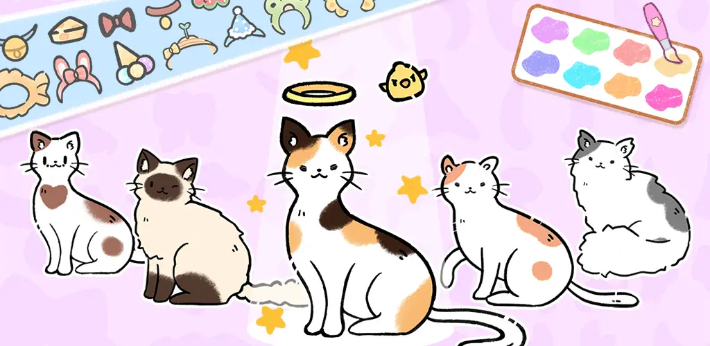 Header Banner