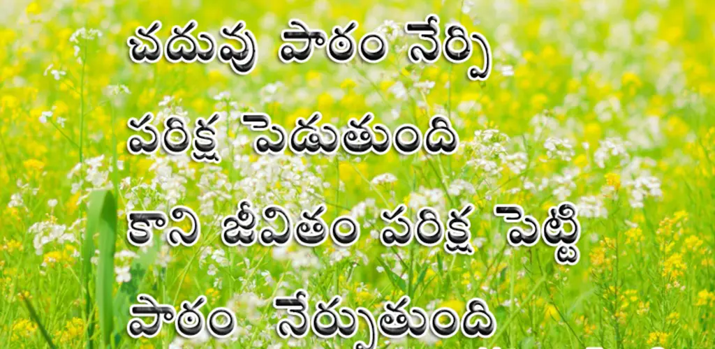 Header Banner