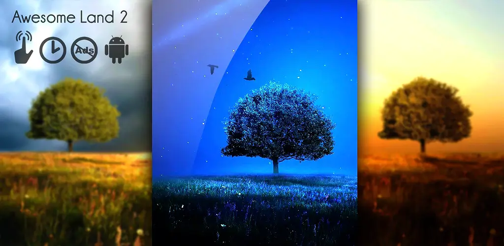 Header Banner