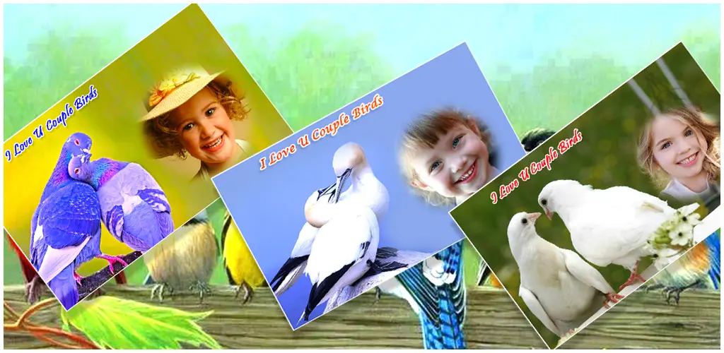 Header Banner