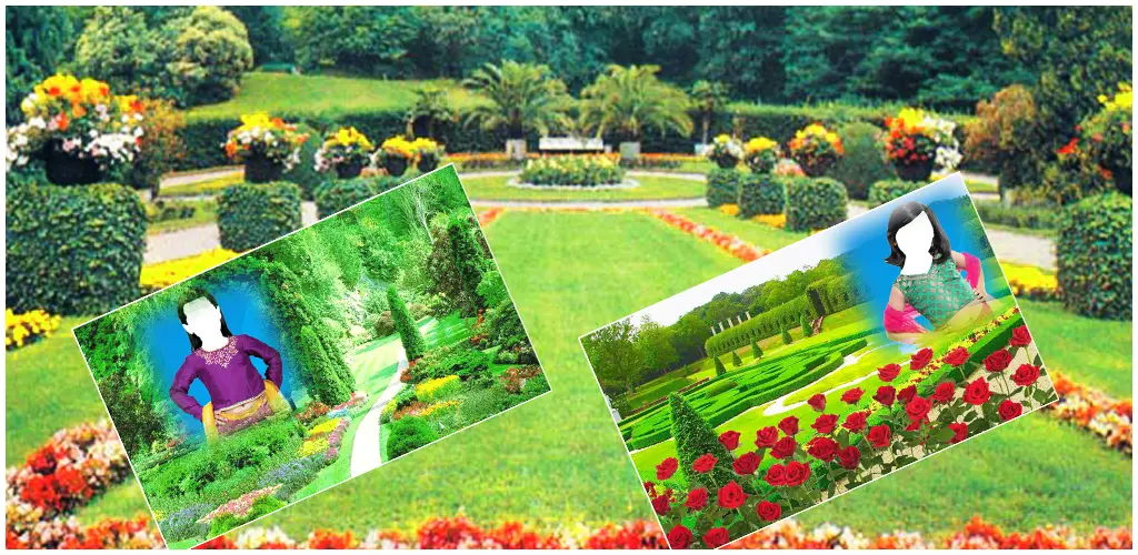 Header Banner