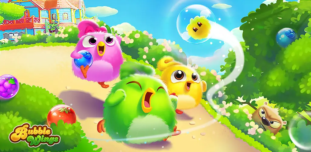 Header Banner