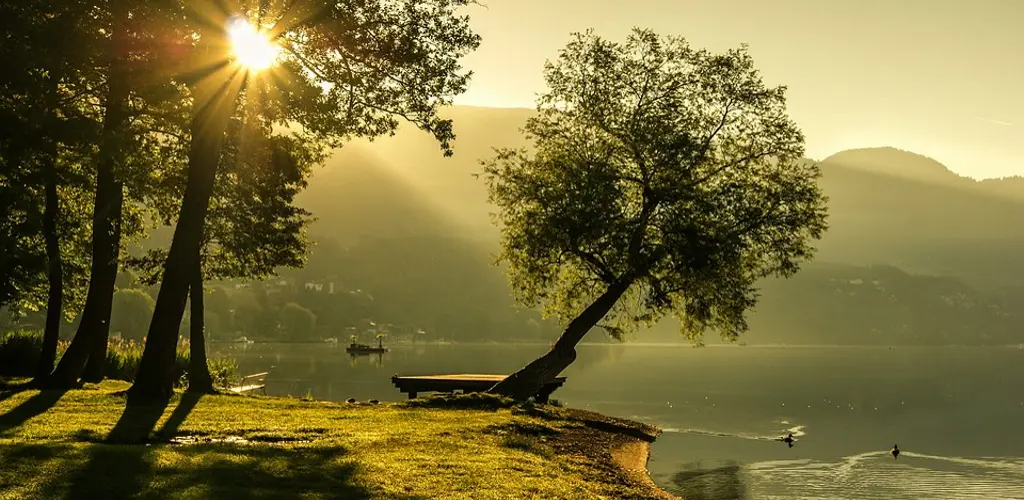 Header Banner