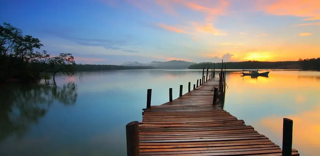 Header Banner