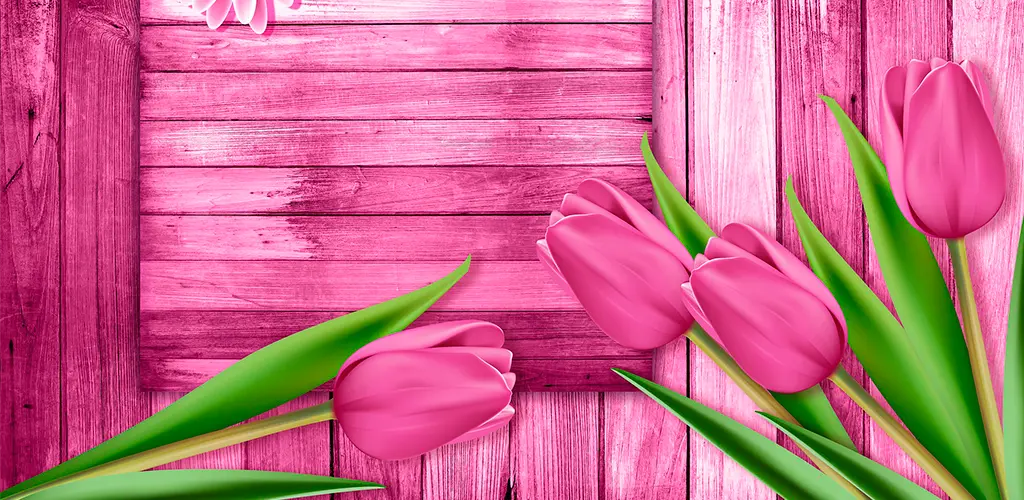 Header Banner
