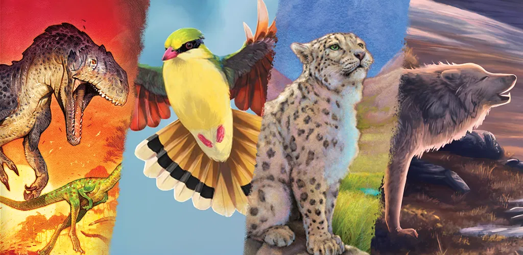 Header Banner