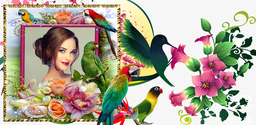 Header Banner