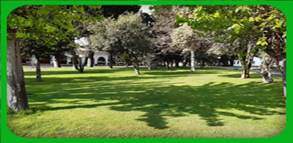 Header Banner