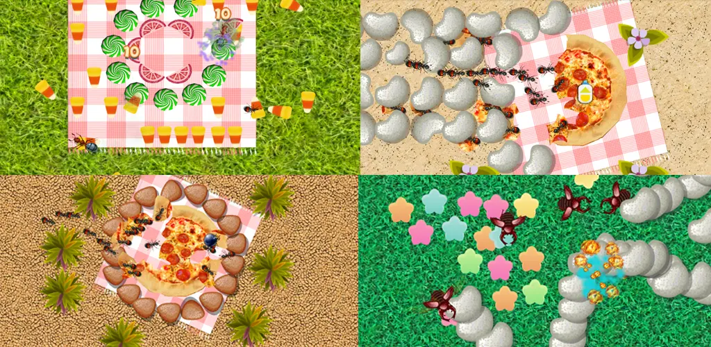Header Banner