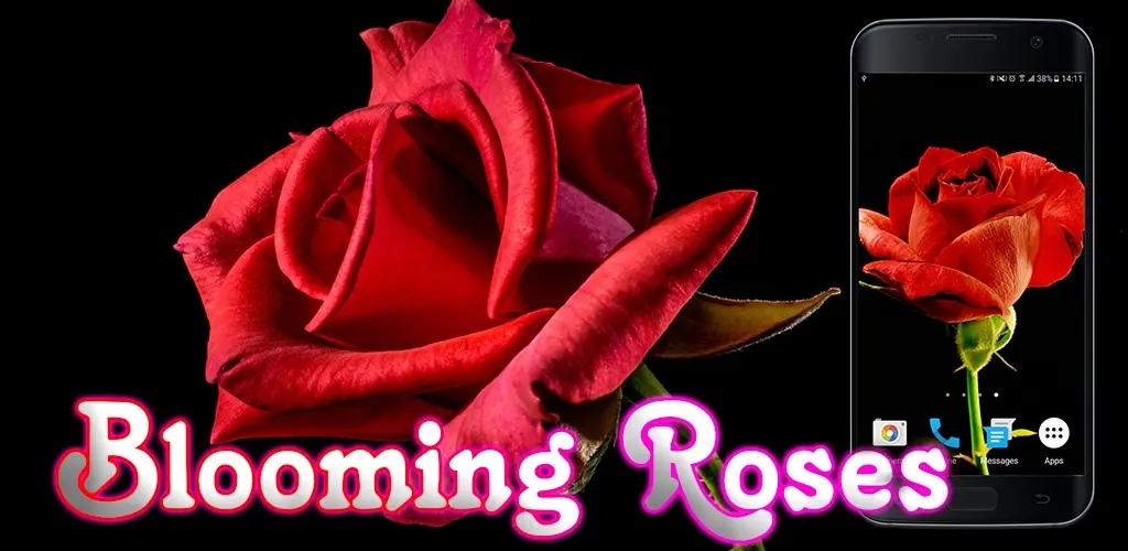 Header Banner