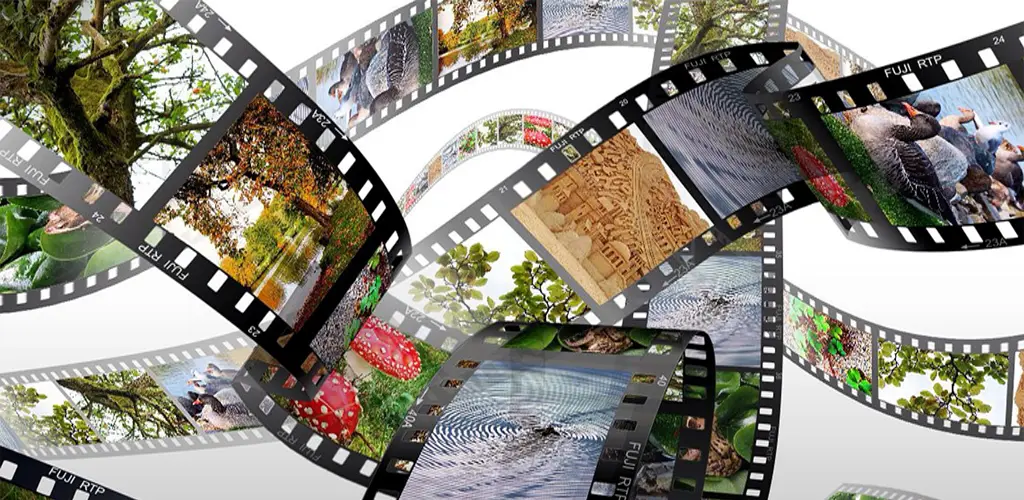 Header Banner