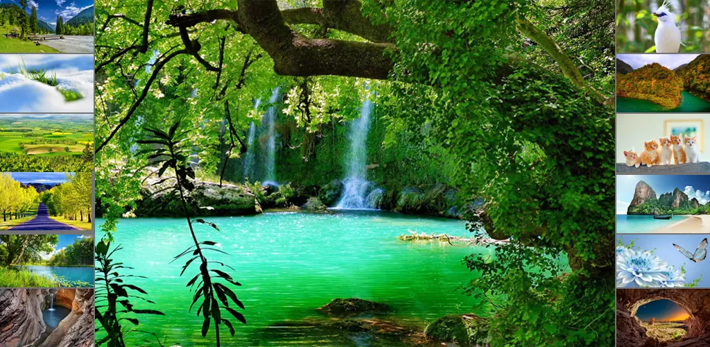 Header Banner