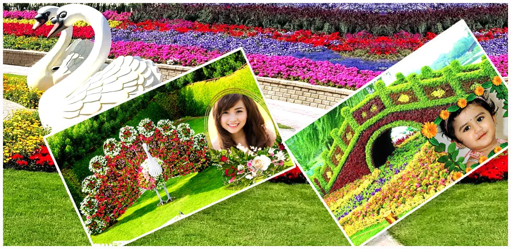 Header Banner