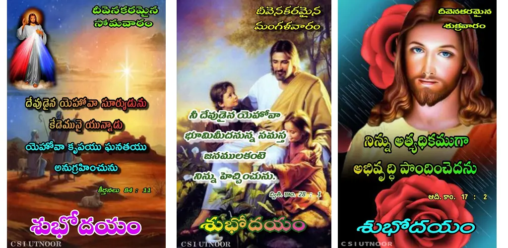 Header Banner