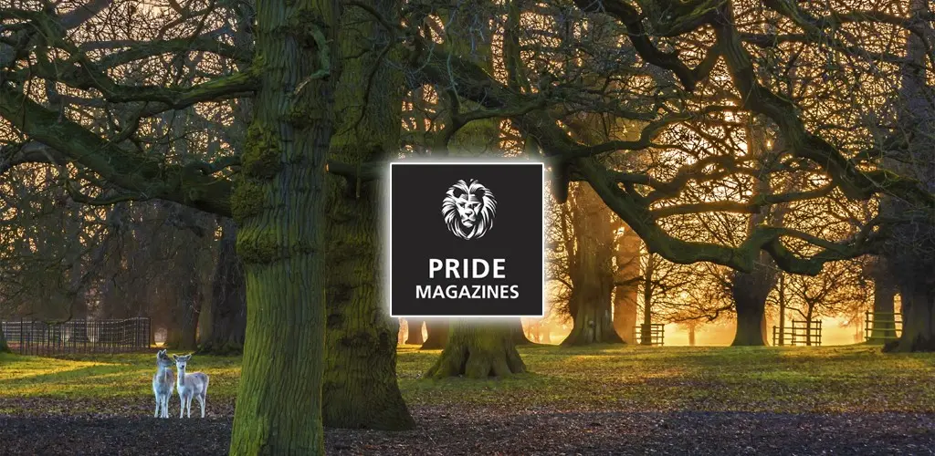 Header Banner