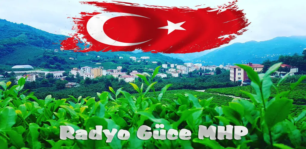 Header Banner