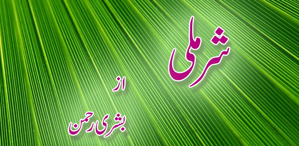 Header Banner