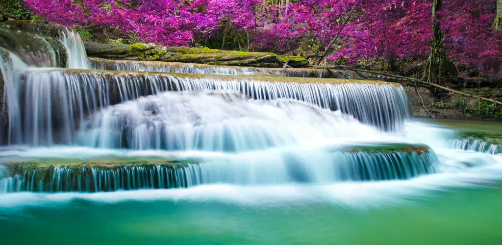 Header Banner