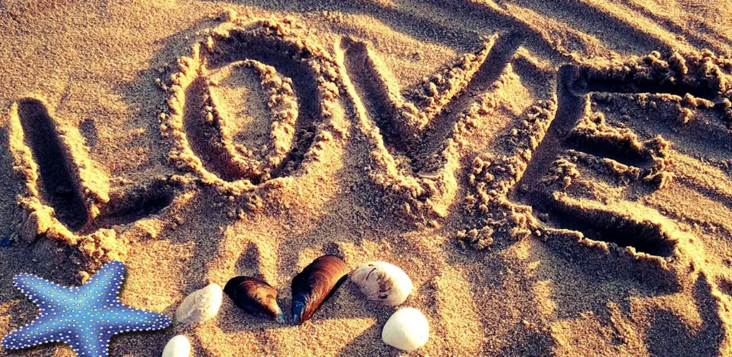 Header Banner