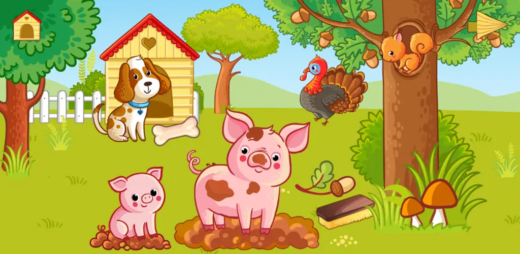 Header Banner