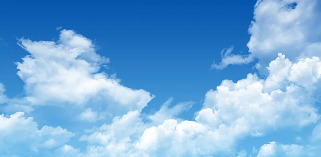 Header Banner