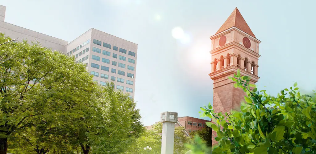 Header Banner
