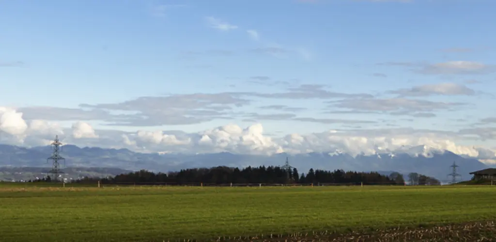 Header Banner