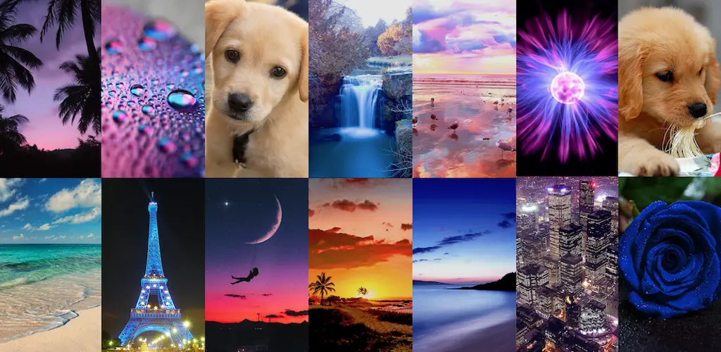 Header Banner