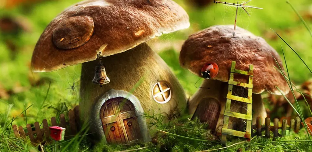 Header Banner