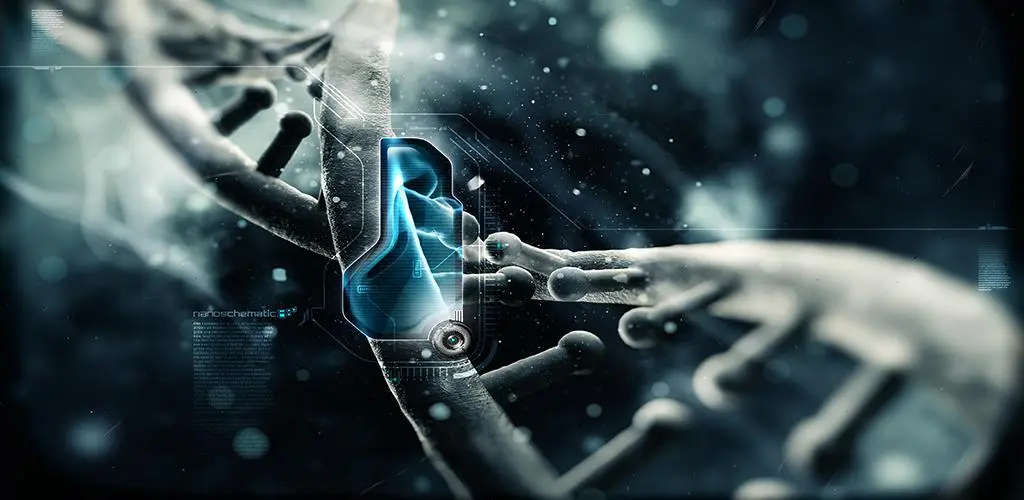 Header Banner