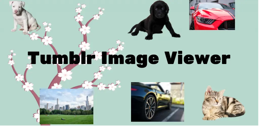 Header Banner