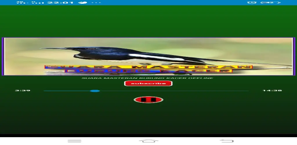 Header Banner